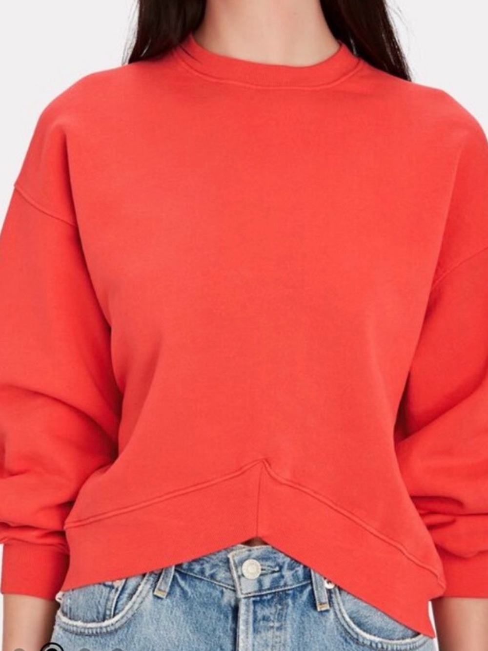 Agolde Coral Crewneck Sweatshirt